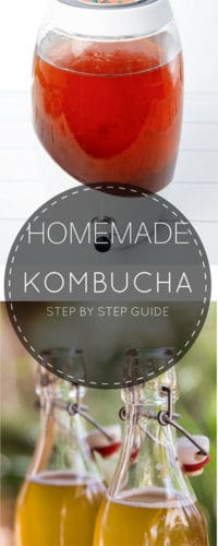 how to make kombucha tea drink? scoby?