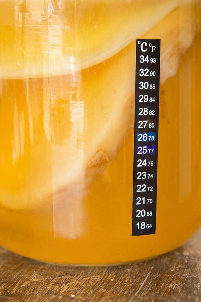 Kombucha Fermentation Temperature