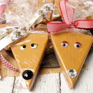 Thermomix Salted Caramel Fudge Reindeer