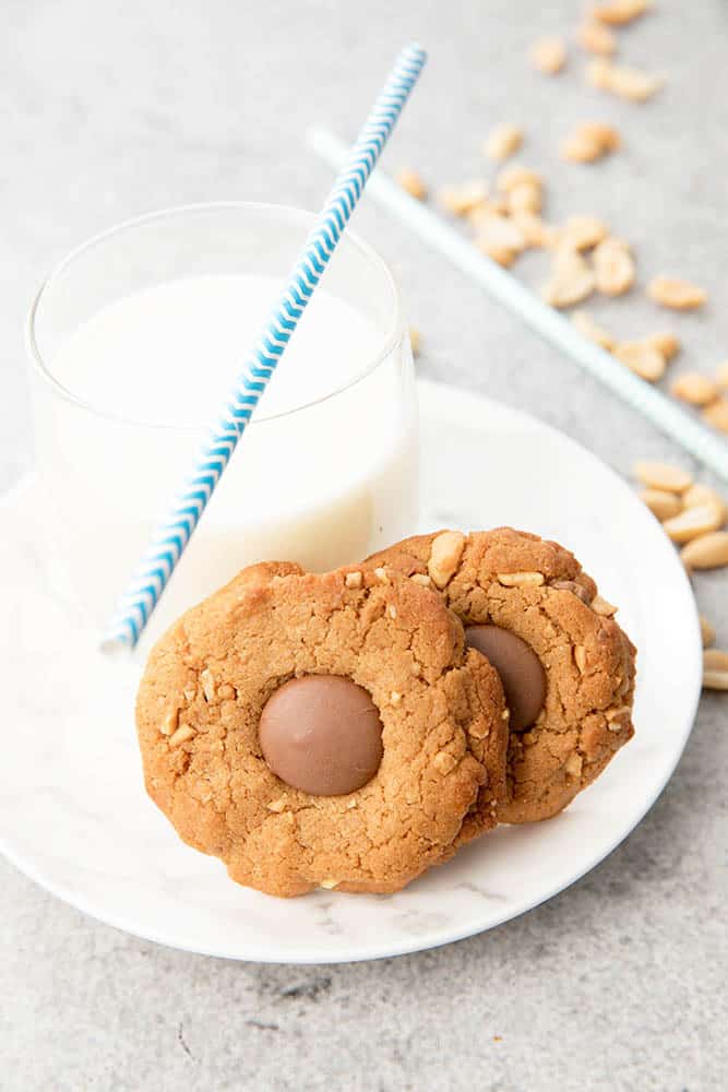 Peanut Butter Choc Chip Thermomix Cookies WEB