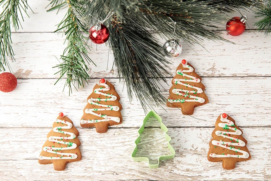 Thermomix Gingerbread Tree Cookies