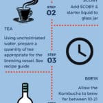 Informational flow chart describing how to make Kombucha tea