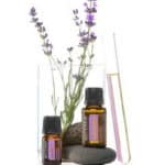 Picture DoTERRA Lavender oil and a lavender sprig in a glass