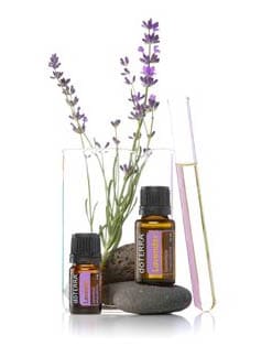 Picture DoTERRA Lavender oil and a lavender sprig in a glass