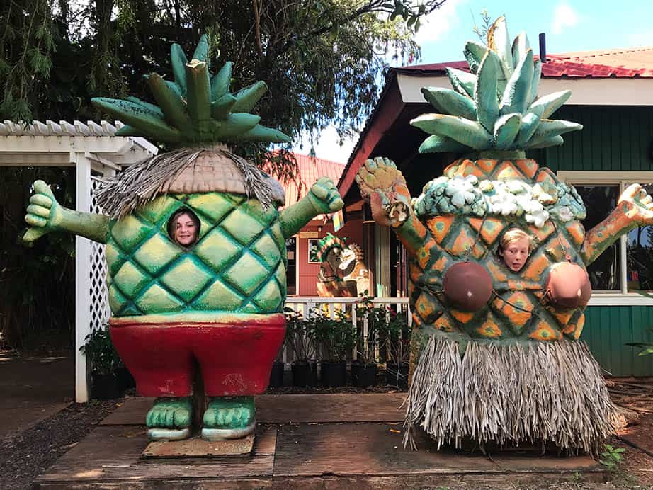 Dole Plantation Big Pineapple with children's faces inside.