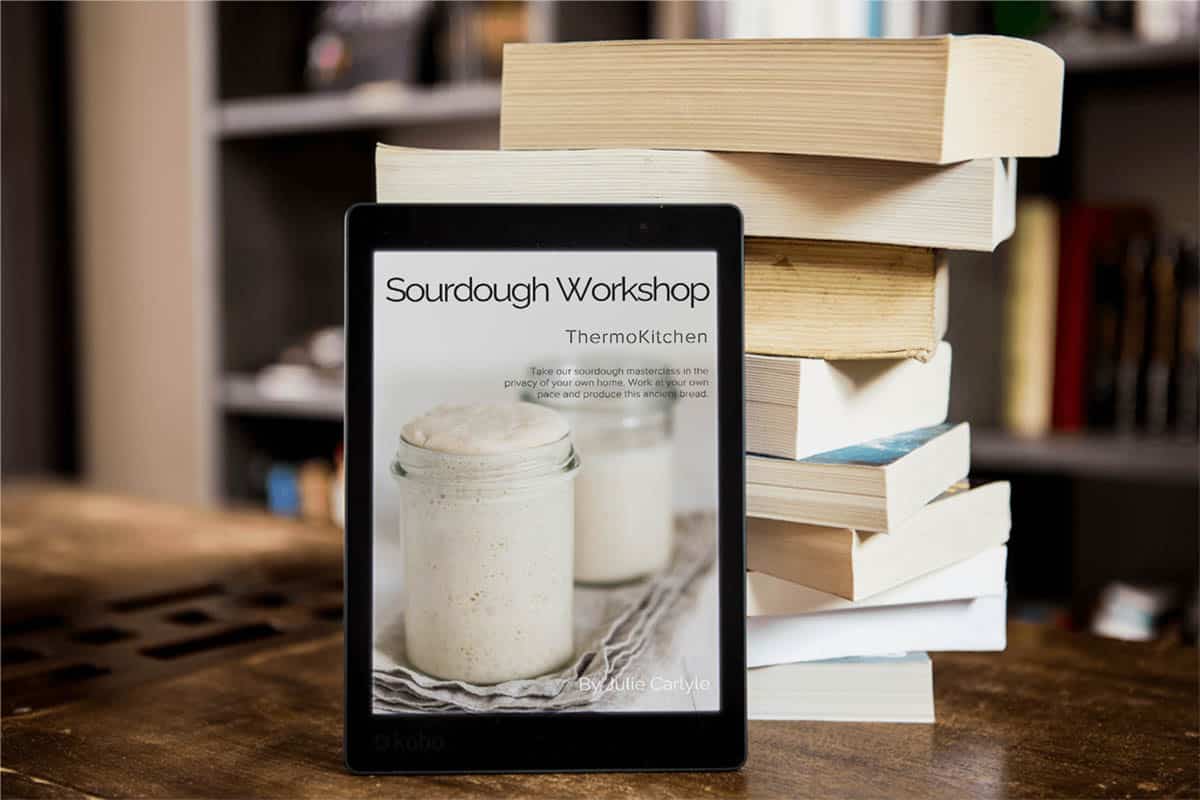 Sourdough eBook sitting near a pile of books