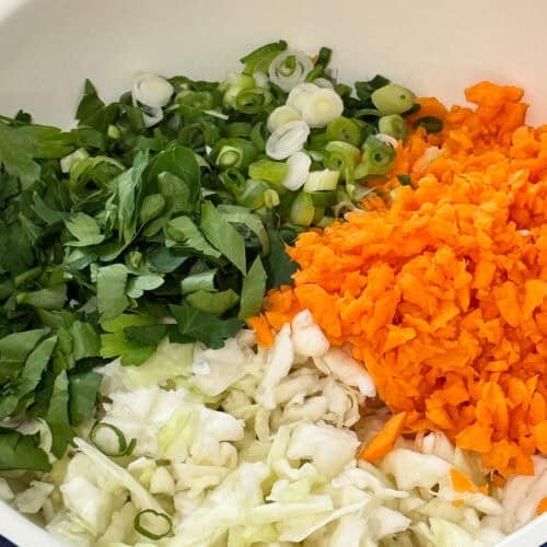 Shows all the ingredients ready to be combined into coleslaw