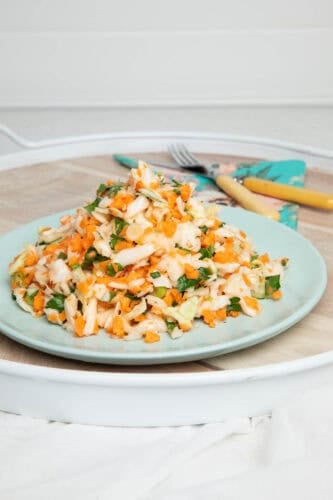 Thermomix Coleslaw on a plate ready to be served