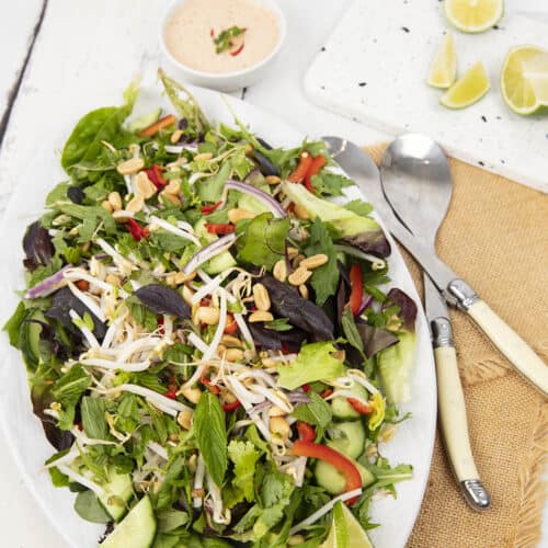 Quick Thai Salad