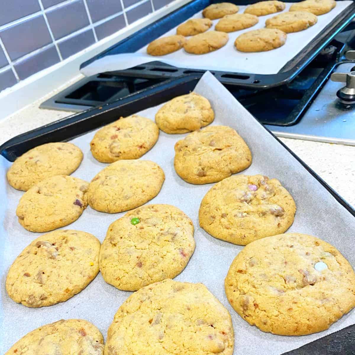 Thermomix Chocolate Chip Cookies on a Cookie sheet straight from the oven.