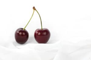 Two ripe cherries on a stalk with a white background.