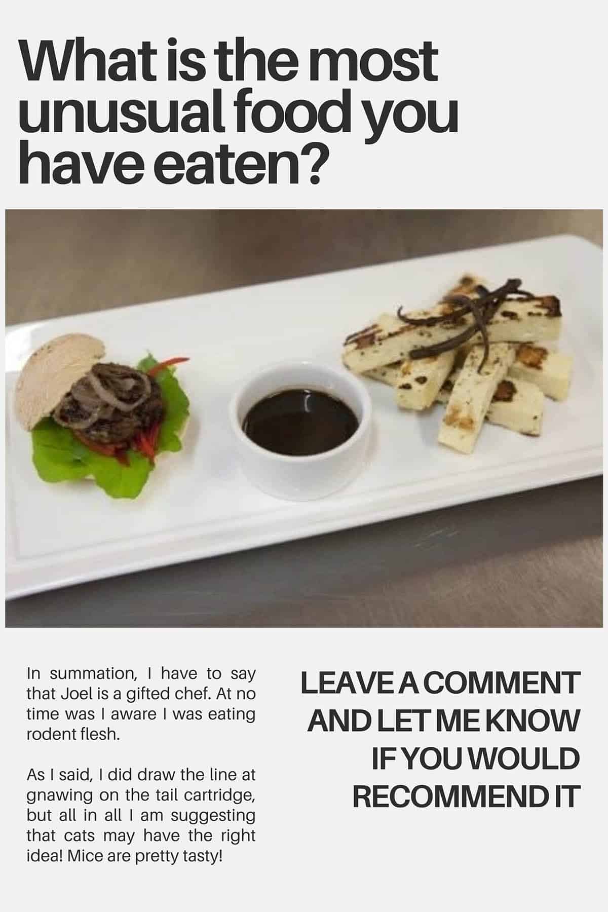 The final plating of the mouse burger and squeaky fries. Includes text and a call to action